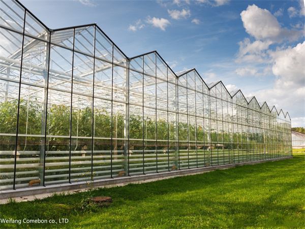 GREENHOUSE